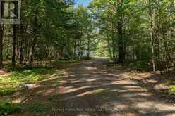 1184 EVELEIGH ROAD | Port Carling Ontario | Slide Image Thirty-six