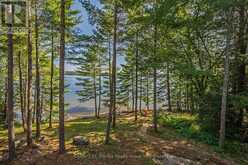1791 RACKETY TRAIL ROAD | Minden Hills Ontario | Slide Image Thirty-one