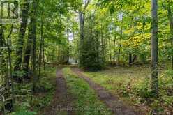1106 CLEAR LAKE ROAD | Muskoka Lakes Ontario | Slide Image Two