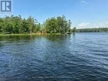 12 SEVERN RIVER SHORE | Muskoka Lakes Ontario | Slide Image Two
