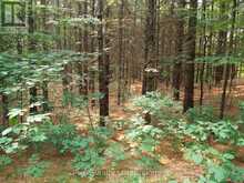 1575 CONCESSION 10 CONCESSION | Huron-Kinloss Ontario | Slide Image Sixteen
