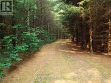 1575 CONCESSION 10 CONCESSION | Huron-Kinloss Ontario | Slide Image Fifteen