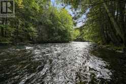 1289 BIG HAWK LAKE ROAD | Haliburton Ontario | Slide Image Thirty-three