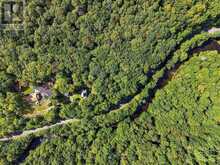 1289 BIG HAWK LAKE ROAD | Haliburton Ontario | Slide Image Forty-six