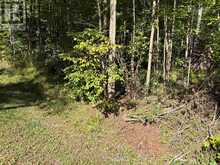 0 PINE ROAD | Magnetawan Ontario | Slide Image One
