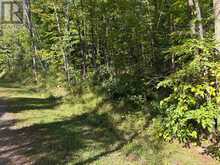 0 PINE ROAD | Magnetawan Ontario | Slide Image Two
