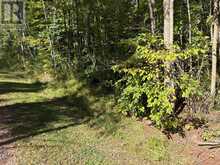 0 PINE ROAD | Magnetawan Ontario | Slide Image Three