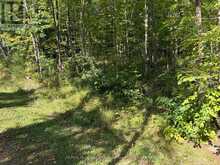 0 PINE ROAD | Magnetawan Ontario | Slide Image Four