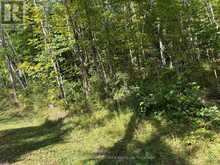 0 PINE ROAD | Magnetawan Ontario | Slide Image Five