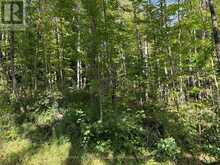 0 PINE ROAD | Magnetawan Ontario | Slide Image Six