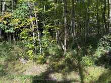 0 PINE ROAD | Magnetawan Ontario | Slide Image Seven