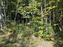 0 PINE ROAD | Magnetawan Ontario | Slide Image Eight