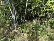0 PINE ROAD | Magnetawan Ontario | Slide Image Nine