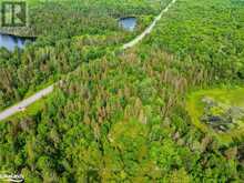 7281A HIGHWAY 124 | Carling Ontario | Slide Image Six