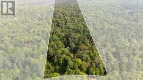 141 MIDDLE ROAD | Magnetawan Ontario | Slide Image Thirty-one