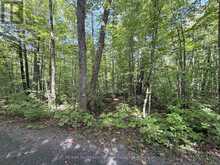 0-150 TAIT'S ISLAND ROAD | McKellar Ontario | Slide Image Sixteen