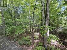 0-150 TAIT'S ISLAND ROAD | McKellar Ontario | Slide Image Nine