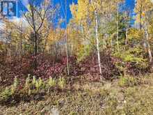 LT 15 PLAN 834 GREY ROAD 1 | Georgian Bluffs Ontario | Slide Image Eleven