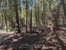 PT LT 56 CON 4 CAPE HURD ROAD | Tobermory Ontario | Slide Image Ten