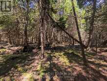 PT LT 56 CON 4 CAPE HURD ROAD | Tobermory Ontario | Slide Image Thirteen