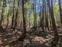 PT LT 56 CON 4 CAPE HURD ROAD | Tobermory Ontario | Slide Image Seventeen