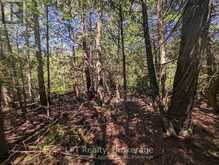 PT LT 56 CON 4 CAPE HURD ROAD | Tobermory Ontario | Slide Image Twenty-six