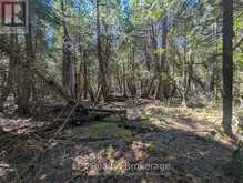 PT LT 56 CON 4 CAPE HURD ROAD | Tobermory Ontario | Slide Image Twenty-seven