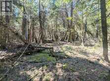 PT LT 56 CON 4 CAPE HURD ROAD | Tobermory Ontario | Slide Image Nine