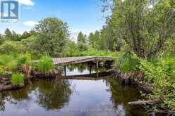 541503 CONCESSION 14 NDR | Chesley Ontario | Slide Image Thirty-eight