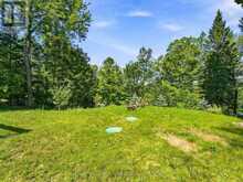 1093 GRACE RIVER ROAD | Highlands East Ontario | Slide Image Nine