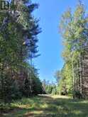 1059 ABLETT COURT | Haliburton Ontario | Slide Image Twelve