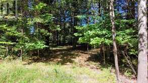 1059 ABLETT COURT | Haliburton Ontario | Slide Image Four
