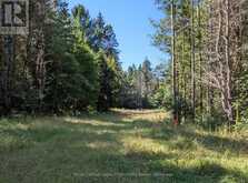 1059 ABLETT COURT | Haliburton Ontario | Slide Image Nine