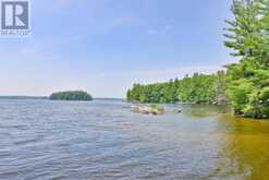 1338 BROWNING ISLAND | Bracebridge Ontario | Slide Image Twenty