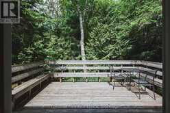 295 TAMMYS COVE ROAD | Lion's Head Ontario | Slide Image Twenty-nine