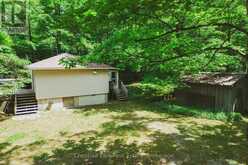 295 TAMMYS COVE ROAD | Lion's Head Ontario | Slide Image Thirty-one