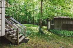 295 TAMMYS COVE ROAD | Lion's Head Ontario | Slide Image Thirty-two
