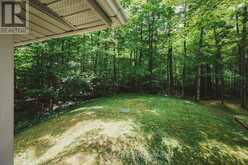 295 TAMMYS COVE ROAD | Lion's Head Ontario | Slide Image Thirty-three