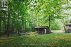 295 TAMMYS COVE ROAD | Lion's Head Ontario | Slide Image Thirty-five