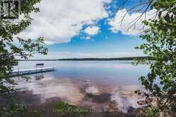 295 TAMMYS COVE ROAD | Lion's Head Ontario | Slide Image Thirty-seven