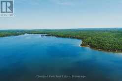 295 TAMMYS COVE ROAD | Lion's Head Ontario | Slide Image Forty