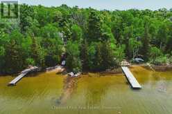 295 TAMMYS COVE ROAD | Lion's Head Ontario | Slide Image Forty-one