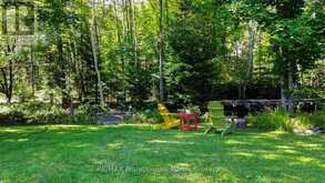 1017 CLEMENT LAKE ROAD | Highlands East Ontario | Slide Image Thirty-eight