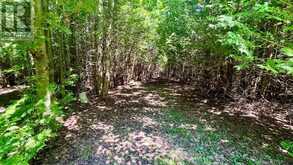 255263 1 CONCESSION | Chatsworth Ontario | Slide Image Twelve