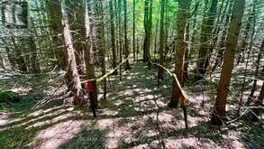 255263 1 CONCESSION | Chatsworth Ontario | Slide Image Thirteen