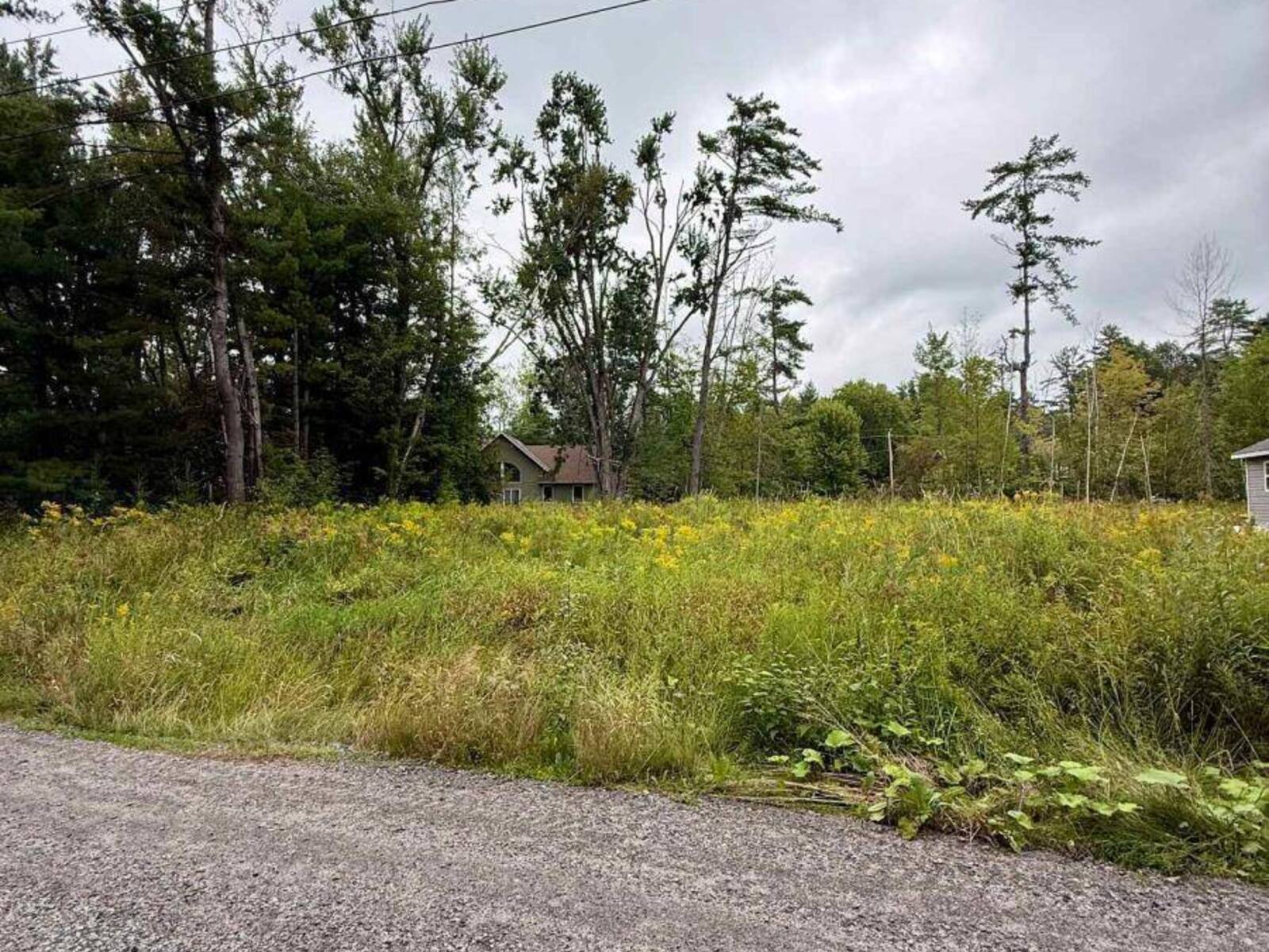 1006 CHIPPAWA AVENUE, Gravenhurst, Ontario P1P 1R1
