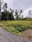 1006 CHIPPAWA AVENUE | Gravenhurst Ontario | Slide Image Two