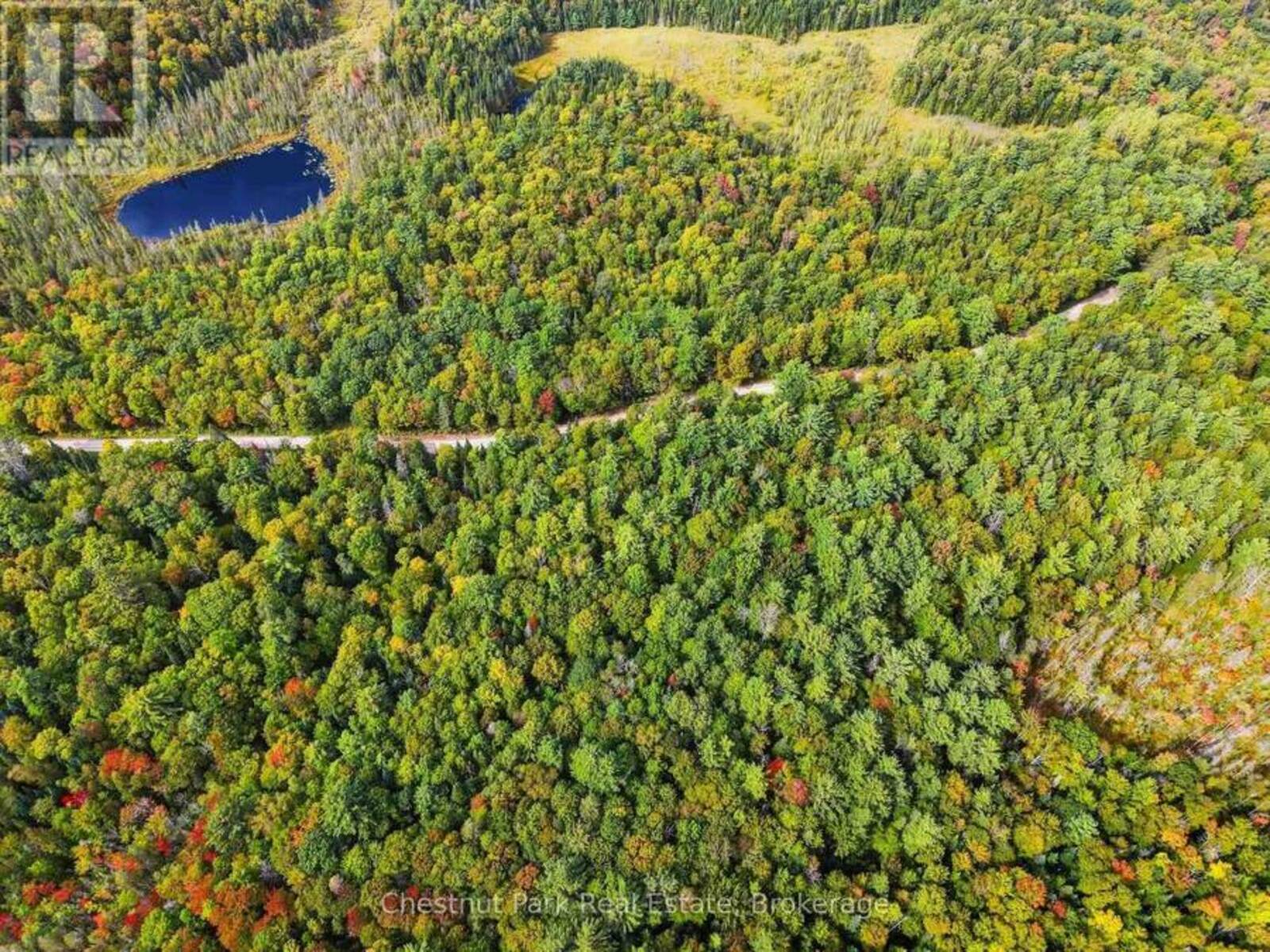 00 PAINT LAKE ROAD, Baysville, Ontario P0B 1A0