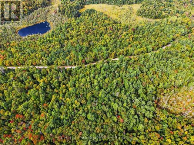 00 PAINT LAKE ROAD Baysville Ontario, P0B 1A0 - Vacant Land For Sale