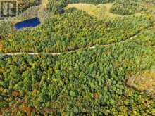 00 PAINT LAKE ROAD | Baysville Ontario | Slide Image One